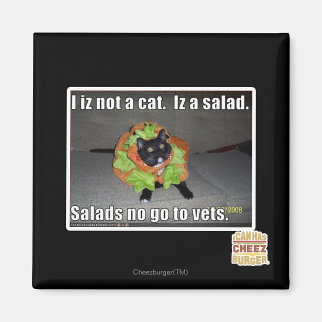 Imã Eu não sou um gato. É uma salada. (Frente)
