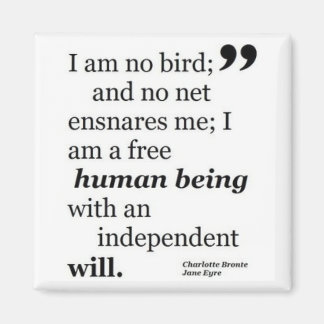 Imã Eu Não Sou Um Pássaro