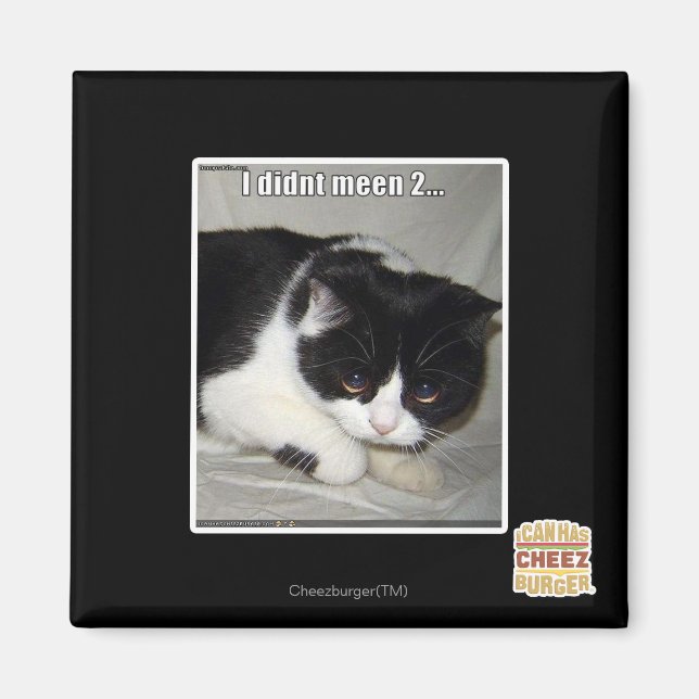 Imã Eu não vi 2 (Frente)