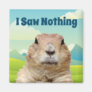 Imã Eu não vi nada no dia do Groundhog
