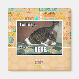 Imã Eu nap aqui