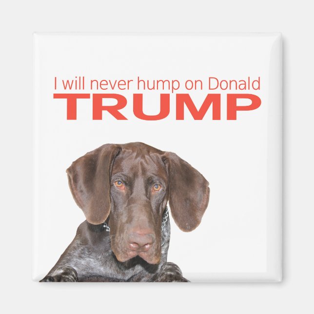 Imã Eu nunca vou bater no Donald Trump! (Frente)