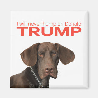 Imã Eu nunca vou bater no Donald Trump!