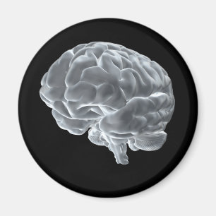 Imã Eu obtive cérebros!