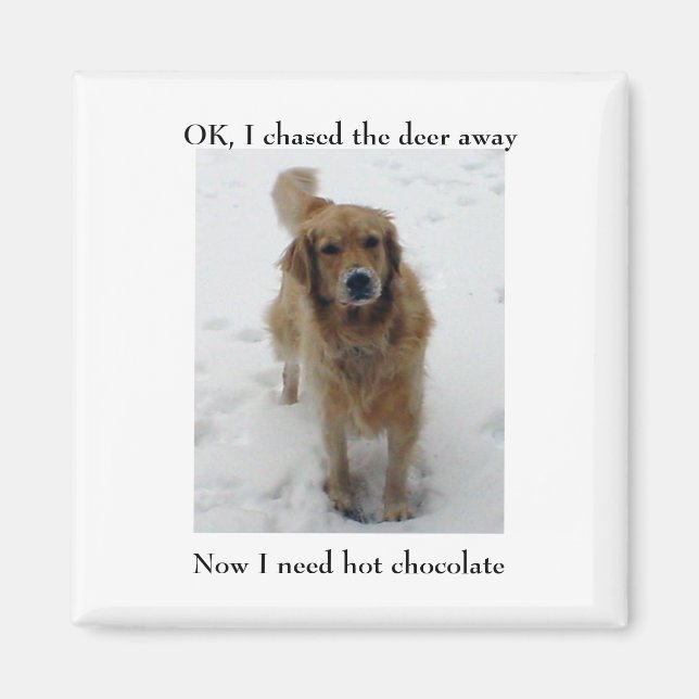 Imã Eu persegui o veado, agora eu... (Frente)