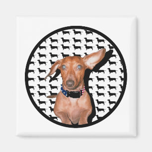 Imã Eu posso ouvi-lo