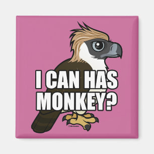 Imã Eu posso tenho o macaco?