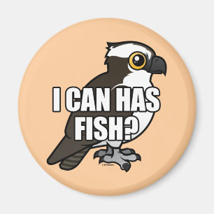 Imã Eu posso tenho peixes?