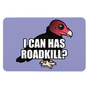 Ímã Eu posso tenho Roadkill?