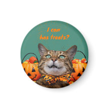 Eu Posso Ter Guloseimas Ímã de Gato