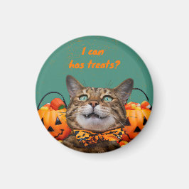 Imã Eu Posso Ter Guloseimas Ímã de Gato