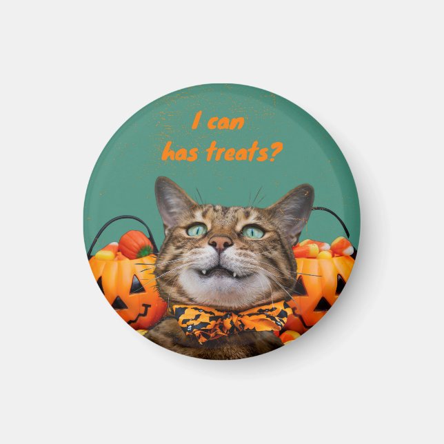 Imã Eu Posso Ter Guloseimas Ímã de Gato (Frente)