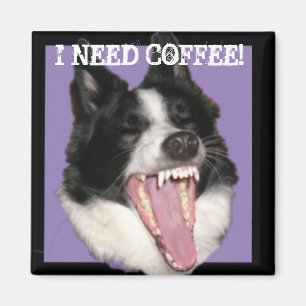 Imã Eu preciso o café!