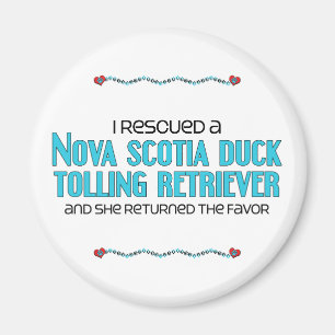 Imã Eu salvei um Retriever anunciando do pato (o cão