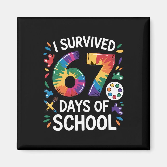 Imã Eu Sobrevivi 67 Dias De Escola Meme Professoras (Frente)