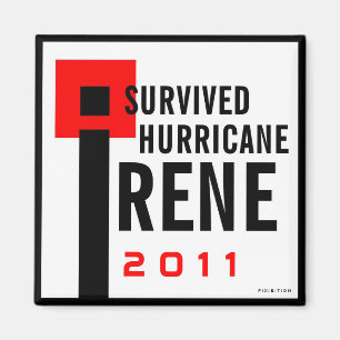 Imã Eu sobrevivi ao ímã 2 de Irene do furacão