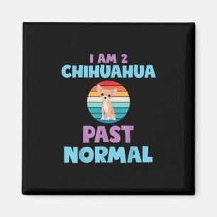 Imã Eu Sou 2 Chihuahua Passando O Cachorro Normal Sobr
