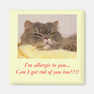 Imã Eu sou alérgico a você. Ímã