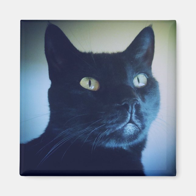 Imã Eu Sou Gato (Frente)