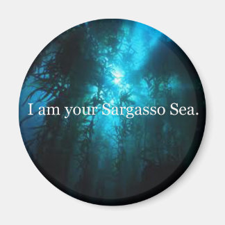 Imã Eu Sou Seu Mar De Sargaço