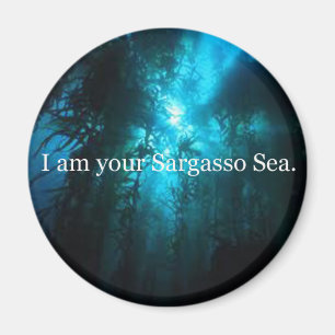 Imã Eu sou seu mar do sargaço