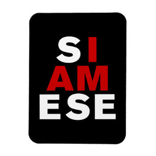 ÍMÃ EU SOU SIAMESE