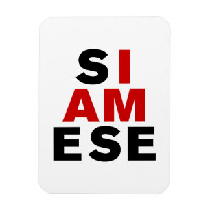 ÍMÃ EU SOU SIAMESE