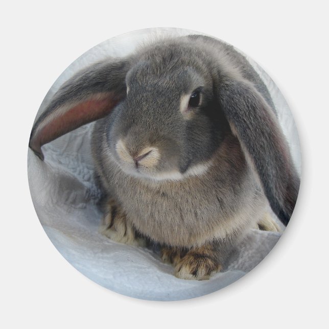 Imã Eu sou todo ouvidos por você (Frente)