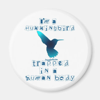 Imã Eu sou um beija-flor