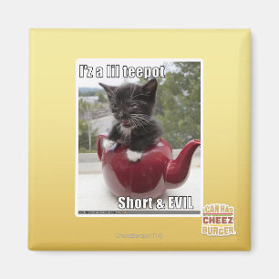 Imã Eu sou um pequeno tepot