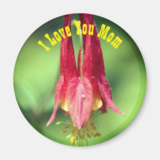 Imã Eu Te Amo Mãe Flor de Columbine  (Frente)