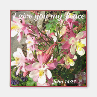 Imã "Eu te dou a minha Paz!"