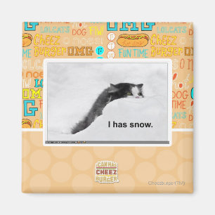 Imã Eu tenho a neve