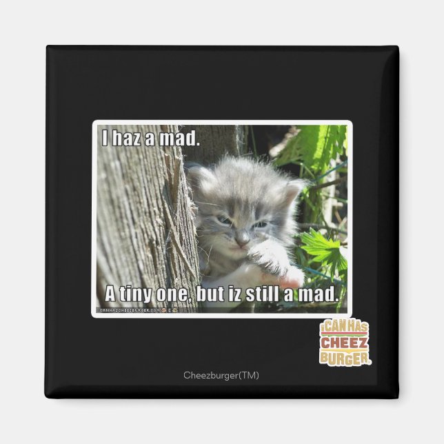 Imã Eu tenho um louco (Frente)