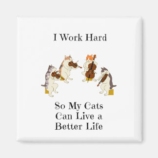 Imã Eu Trabalho Duro Para Meus Gatos Viverem Uma Vida 