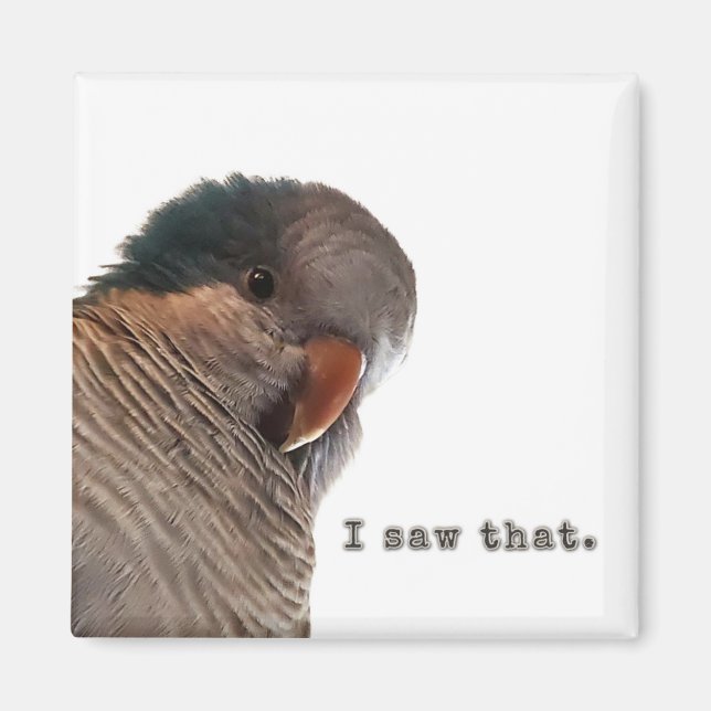 Imã Eu vi isso (Frente)