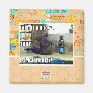 Imã Eu vou te dizer