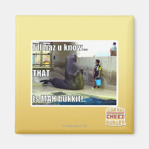 Imã Eu vou te dizer