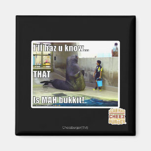 Imã Eu vou te dizer