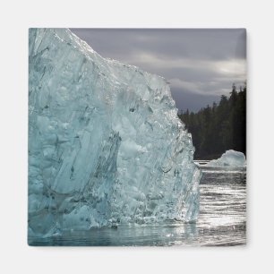 Imã EUA, Alasca, Floresta Nacional Tongass, Tracy 2