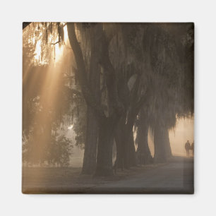 Imã EUA; América do Norte; Geórgia; Savannah. Meninos