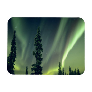 Ímã EUA, área de Fairbanks, centro do Alasca, Aurora