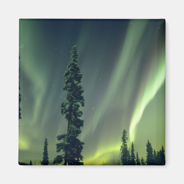 Imã EUA, área de Fairbanks, centro do Alasca, Aurora (Frente)