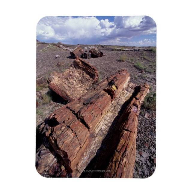 Ímã EUA, Arizona, Petrified Forest National Park, 2 (Vertical)