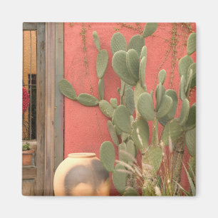 Imã EUA, Arizona, Tucson: Distrito Histórico Presidio