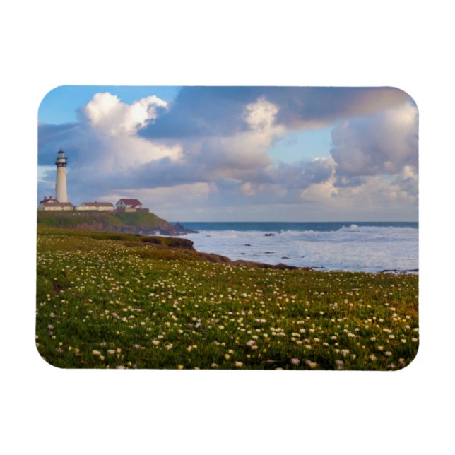 Ímã EUA, Califórnia. Big Sur Panorama 2 (Horizontal)