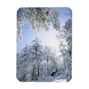 Ímã EUA, Califórnia, Cleveland National Forest,