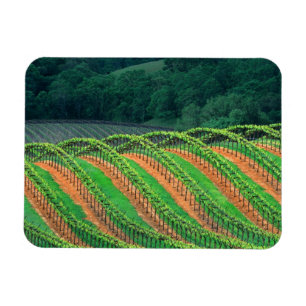 Ímã EUA, Califórnia, condado de Mendocino, um