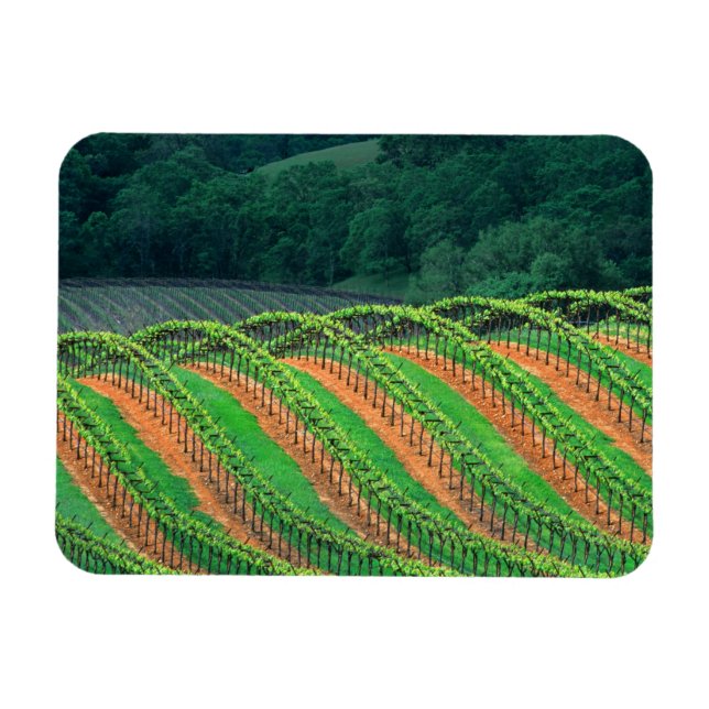 Ímã EUA, Califórnia, condado de Mendocino, um (Horizontal)