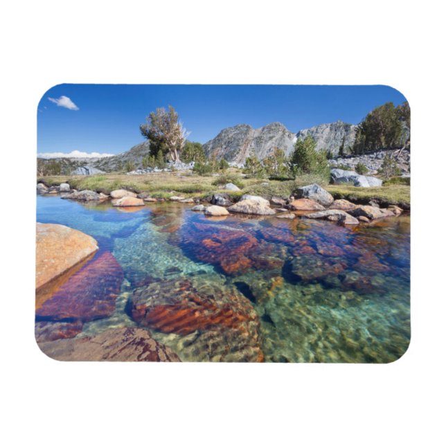 Ímã EUA, Califórnia, Inyo National Forest 4 (Horizontal)